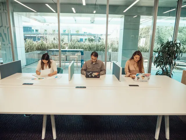 Three professionals collaborating in a modern office space with laptops and documents. Coworking space expansion and market guide