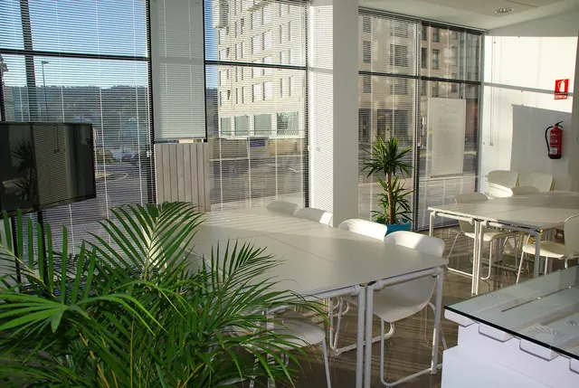 office space, office, sunny, coworking, meeting, meeting room, business, space, room, desk, design, light, office interior, decoration, modern office interior, wood, office space,. Coworking space pricing and profit guide